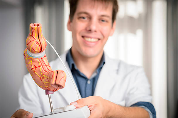 Dr. Yannick Nijs met anatomisch model van darmen